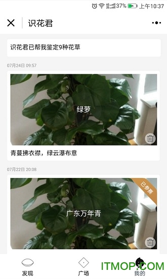 拍照识花君