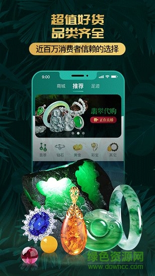 淘翠珠宝