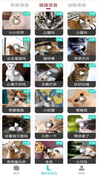 多多猫语狗语翻译器 多多猫语狗语翻译器