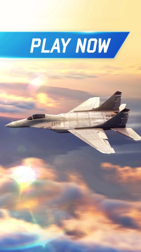 Flight Pilot安装器 Flight Pilot安装器