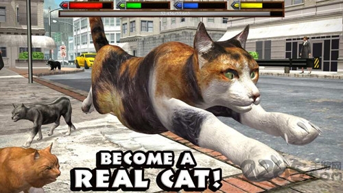 终极猫咪模拟器2无限经验版 终极猫咪模拟器2无限经验版