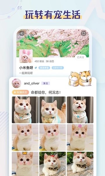 半侣云养宠