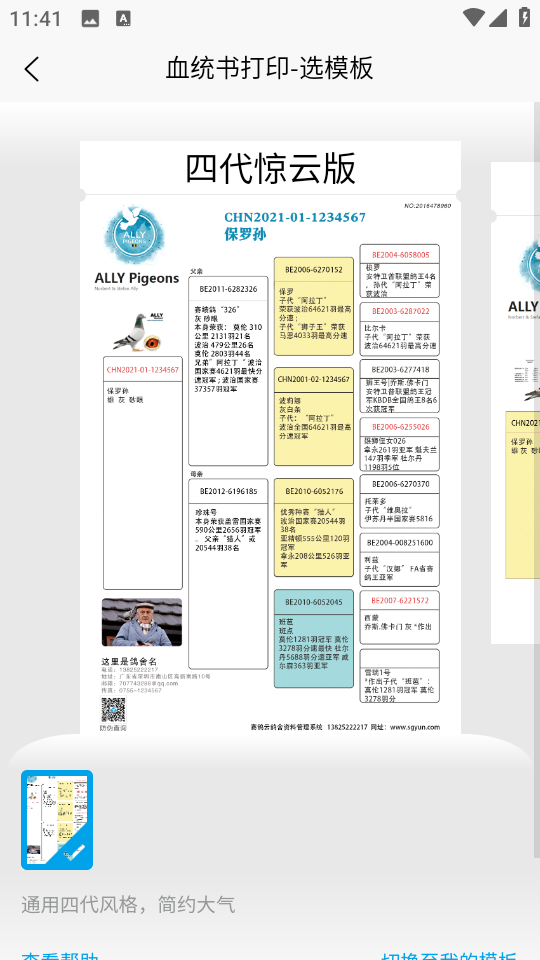 赛鸽云