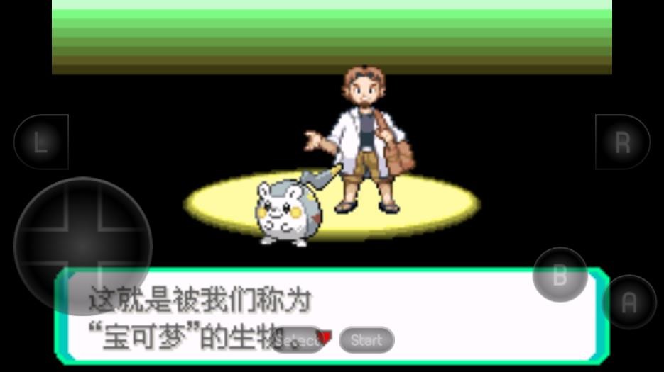 极智派