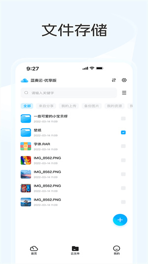 蓝奏云优享版