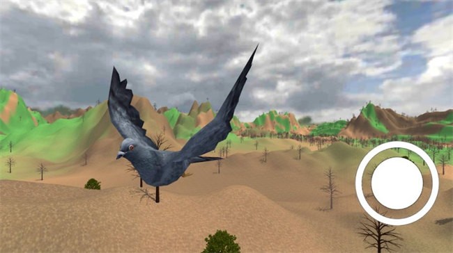 鸽子飞行模拟游戏(Pigeon bird flying sim game 3d)