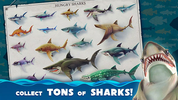 饥饿鲨世界国际服正版(Hungry Shark)
