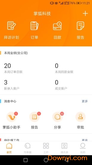 掌狐 掌狐