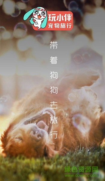 玩小伴宠物