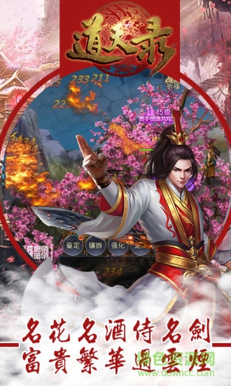 道天录满V版