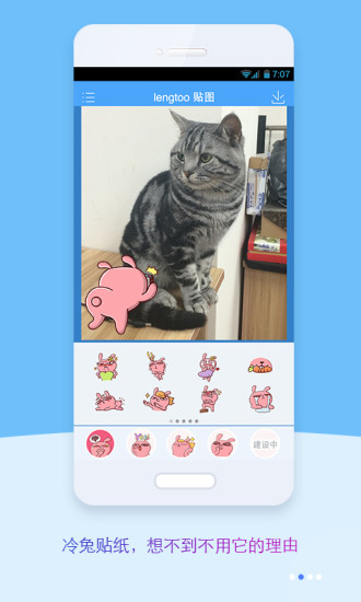 冷兔实验室