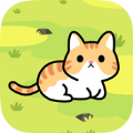 Tamingastraycat(收养一只流浪的猫手游)