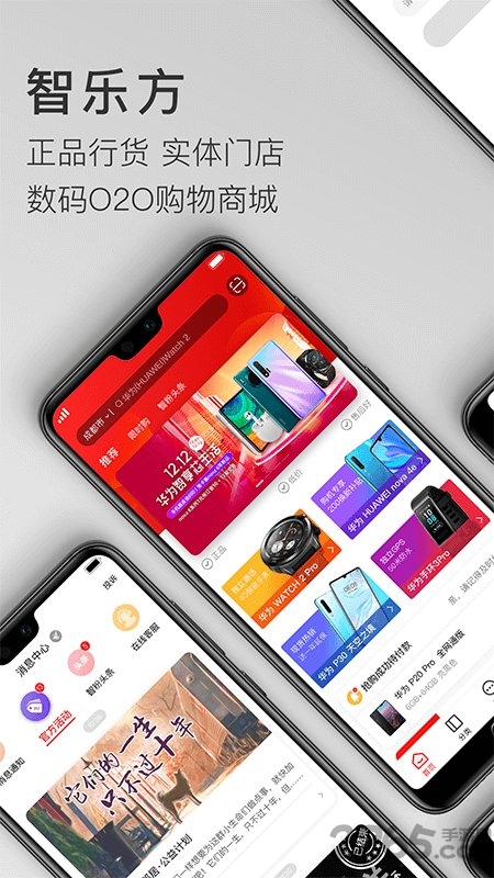 智乐方