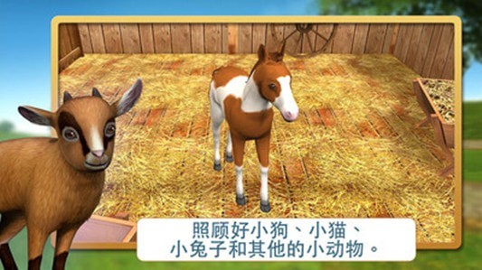 宠物世界