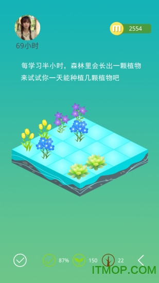 七色堇