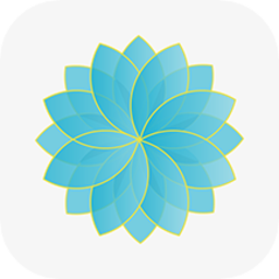 鼎晟新能源手机版