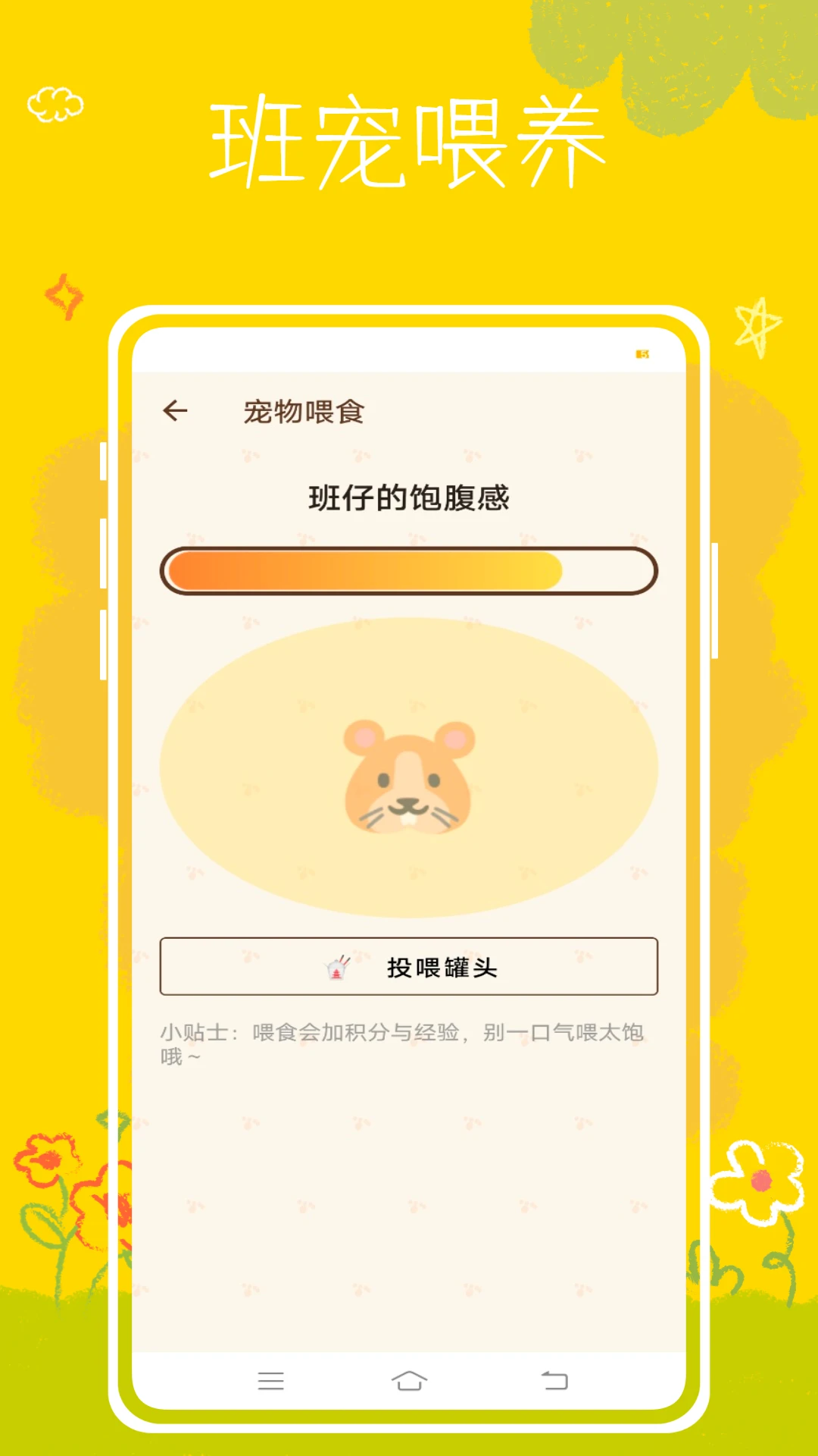 班级养宠物