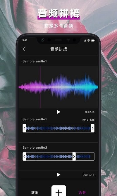 视频格式转换大师
