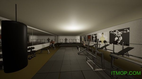 Modern Gym Simulator