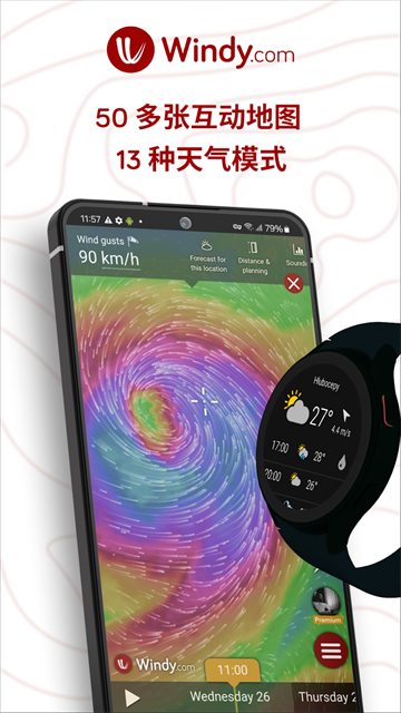 全球风向监测(Windyty)
