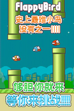 飞翔的小鸟