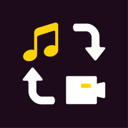 视频格式转换大师