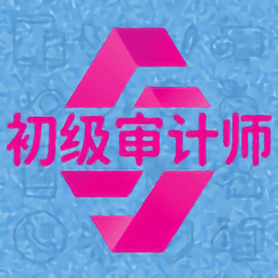 初级审计师