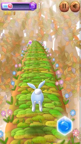 可爱小兔子酷跑
