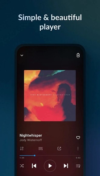 Lark Player高级解锁版 Pro专业版v6.22.6