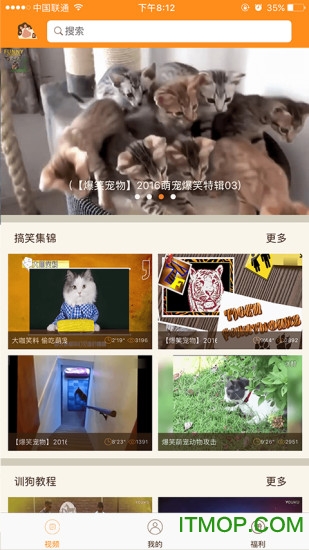 单身狗趣味视频