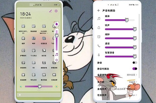 主题安装器