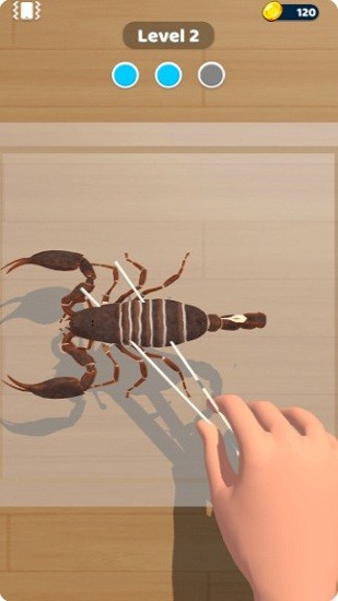 动物标本官方版