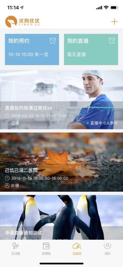 灵狗优优 灵狗优优