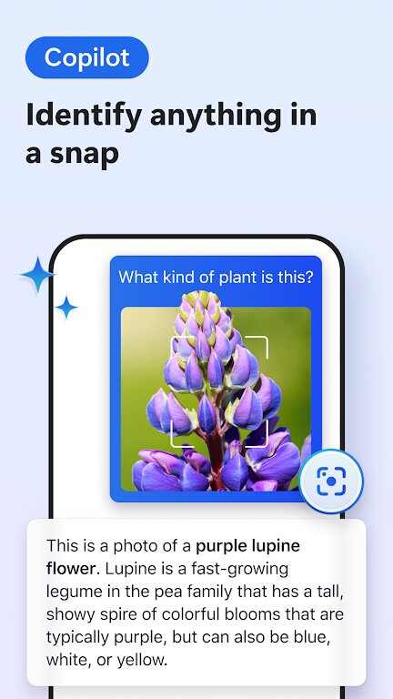 微软浏览器金丝雀版2025最新版(Edge Canary)