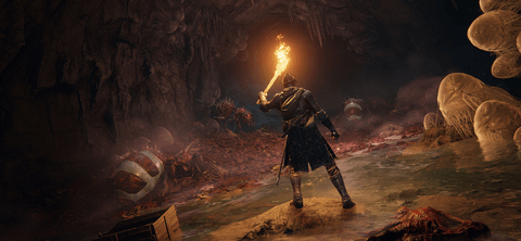 艾尔D法环官方版