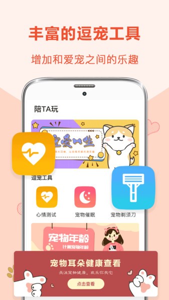 逗猫