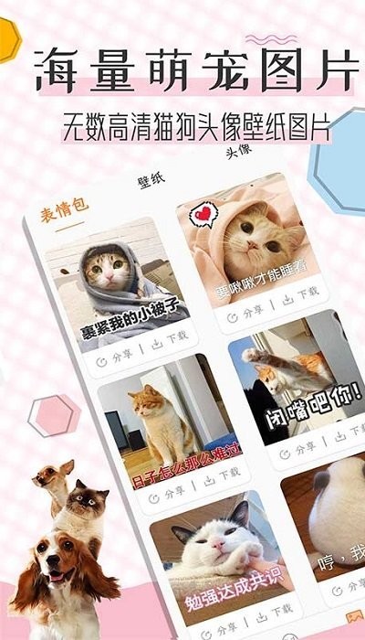 猫语翻译宝