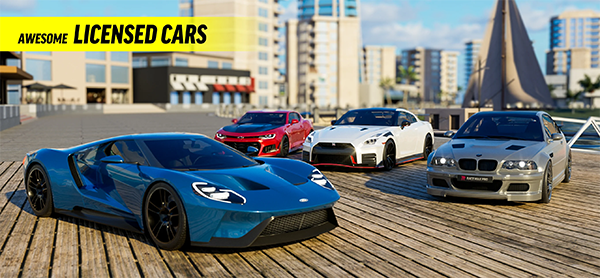 Race Max Pro安装器