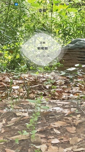 极牙