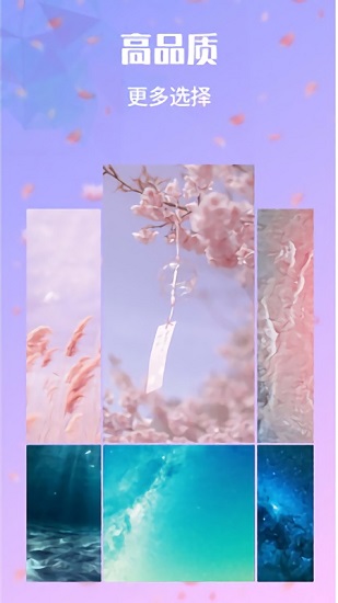 动态视频壁纸