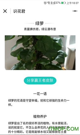 拍照识花君
