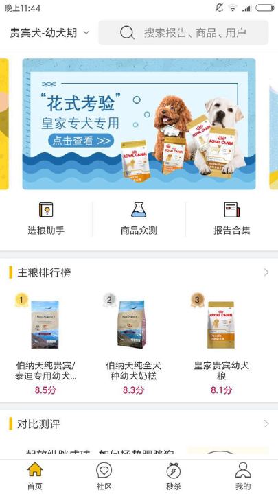 泡泡宠物 泡泡宠物