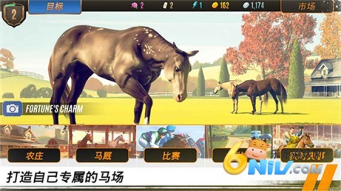家族传奇：马匹养成竞技