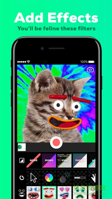 GIPHY CAM