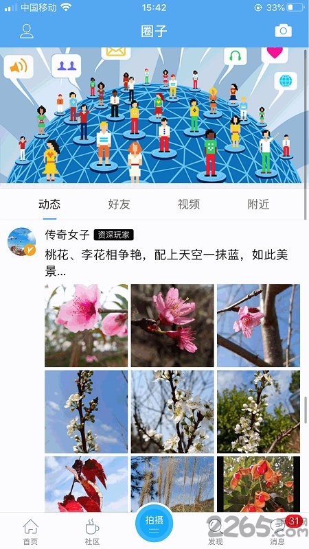 园洲社区招聘网