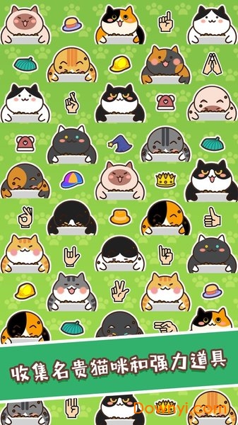 不能再吃了橘猫