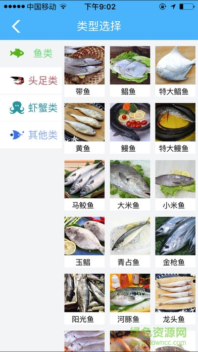 海上鲜