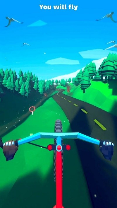 Downhill: MTB