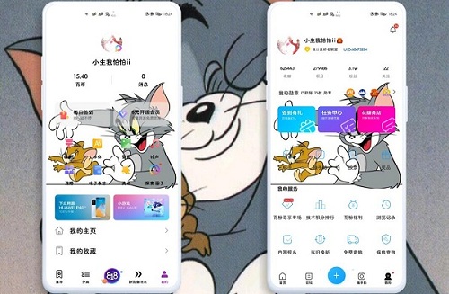 主题安装器