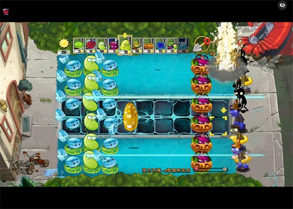 植物大战僵尸绽放时空版 植物大战僵尸绽放时空版